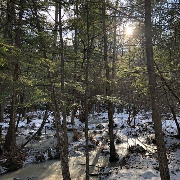 Meet your Posher, Haley - Picture 1 of 1